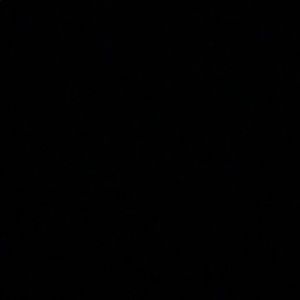 Meet your Posher, Lilly